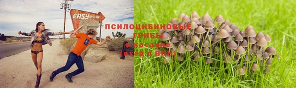амфетамин Алексин